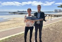 Tunarama future on the cards