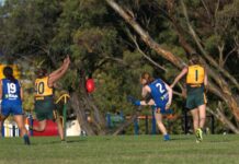 Peckers on song after fourth win