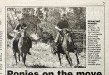 Flashing back 20 years to January 2004