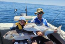 Squid numbers rising