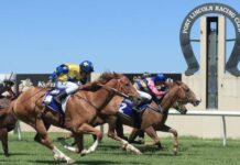 Celeritate Regem on song