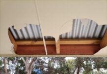 Vandals damage Coffin facilities