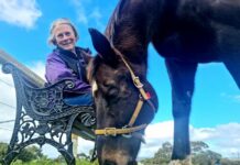 Attention is on Sarge