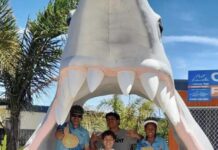 Summer activities a hit