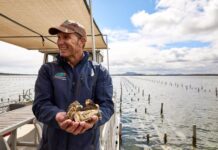 Coastal safari experience expands