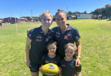 Crow chicks have a ball at clinic