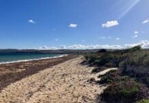 Grant to protect sand dunes