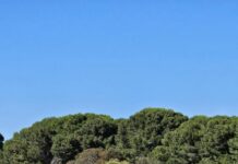 Splendid Saturday round for Henson