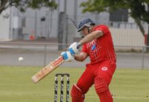 Tasman leads T20 comp