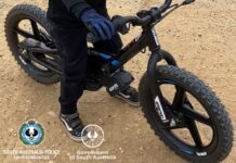 Girls arrested over disturbance