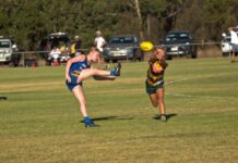 Peckers lead trio of dominant wins