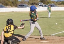 Tigers through to the big show