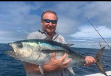 Whiting fishing hit and miss