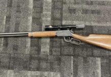 Man arrested on gun offences