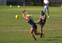 Top sides reach grand final