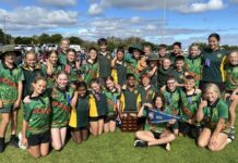 Students impress at carnival