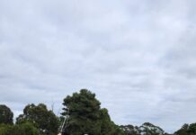 Great scores see Marchesi, Maxfield take choccies