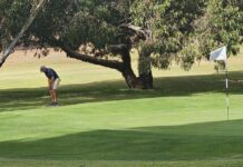 Bailey’s big day out