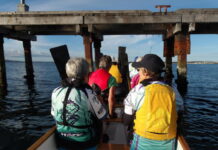 Quiet Boston Bay paddle