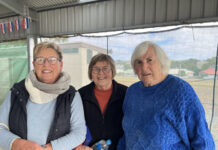 Wombats get late run to win