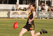 Tigers roar to two wins