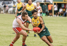 Mallee Park downs injury-hit Tasman