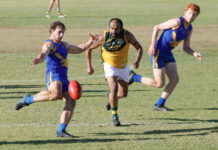 Mallee Park stuns premiers