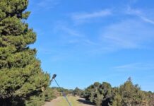 Wadey wins a thriller