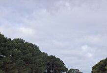 Great week of golf for Mayhew and Findlay