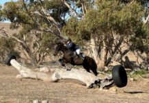 Perfect autumn day for opening event