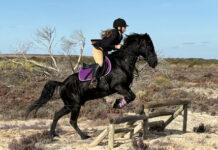 Perfect day for Arno hunt