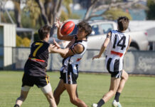 Port Lincoln sport: May 25 | GALLERY