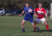 Price guides Raiders to three points