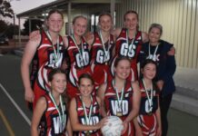 Wayback wins regional carnival