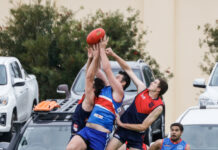 Strong opening day for Western Eyre and Lincoln City