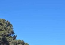 Devi perfects par competition