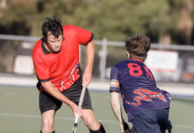 Flinders, Wanderers locked even