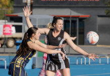 Wanilla tops ladder with win