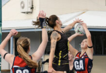 Wayback downs fighting Tigers