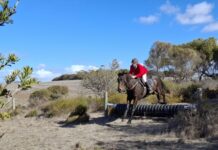 Pleasant winter hunt at Winndie
