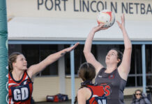 Two-goal triumph for Tasman