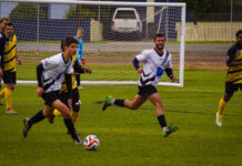 Impressive Knights victorious