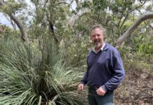 Rocket decider on way