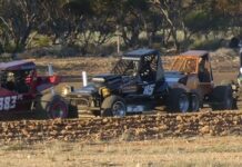 Big crowd embraces tri series