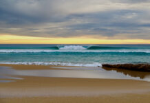 Life through the lens