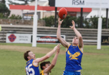 No roar as Eagles soar