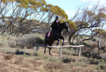 Riders brave blustery breeze