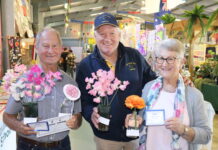 Talent aplenty at show