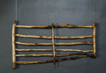 Experience Kimba transformation