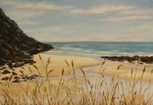 Imagined art to be exhibited